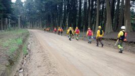 51416502552_d3a341ef85_c