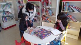 mini-biblioteca_47-2