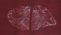 investigacion-aysen3