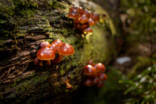 3-profesional_pamela_martinez