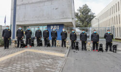 nota_dogsaa0c03b375d7496bb6fda50043f4af1f