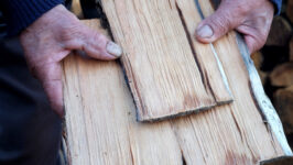 tejuelero-ramon-carimoney-2048x1154