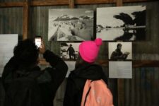 row_9762-1-compressed