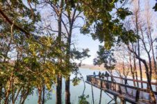 Sin título-compressed