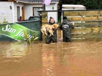 a1dfec04df_B-compressed