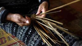 Actividades-noviembre-Alerce-2-1-1024x576-compressed