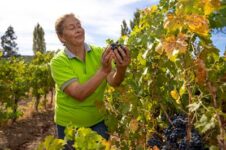 VIÑATEROS DE LA AGRICULTURA FAMILIAR (2)-compressed