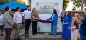 WhatsApp Image 2024-03-01 at 10.52.19