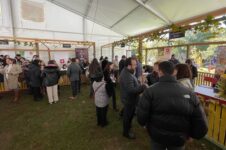 880847000107286684_zc_v1_1716993595670_universidad_de_talca_utalca_(88)