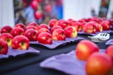 880847000108452830_zc_v1_1717599085689_universidad_de_talca_utalca_(98)-compressed