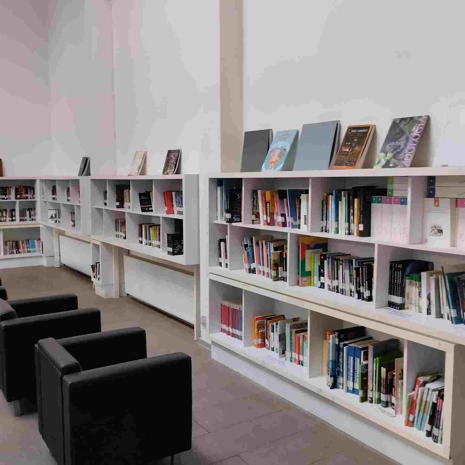 biblioteca2-compressed