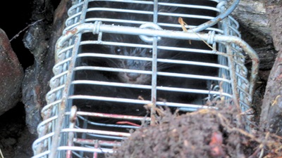 02-06-2025-Vison-Magallanes (1)