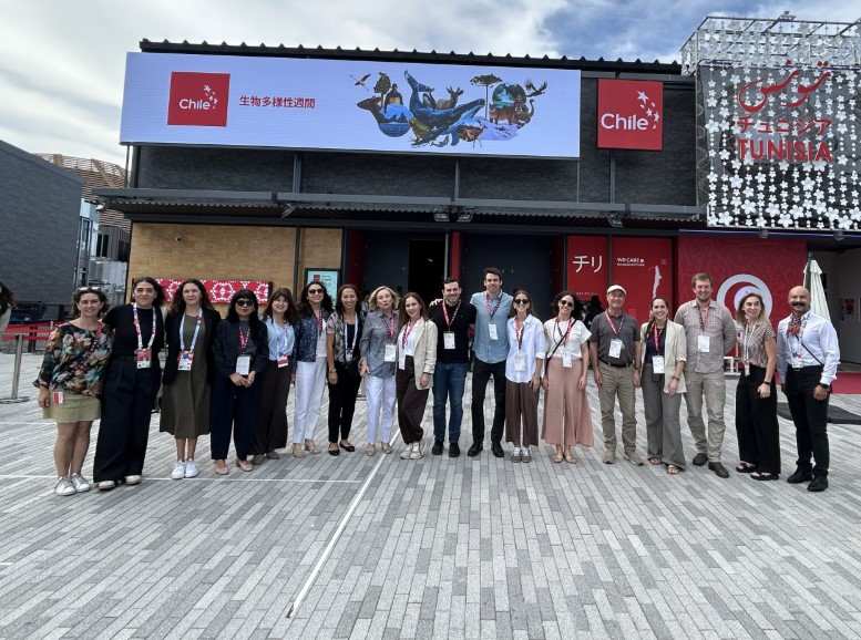 Captura de pantalla 2025-09-25 103003-compressed