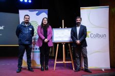 Mostazal 2-compressed