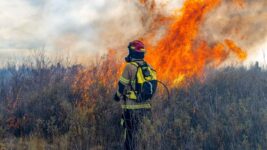 incendio forestal referencial (1)-compressed